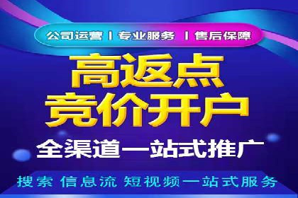 百度竞价广告运营全解析：成功案例揭秘